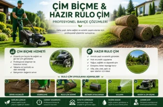 Hazır Rulo Çim Hizmetleri – Profesyonel Bahçe Çözümleri