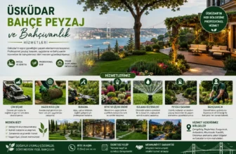 Üsküdar Bahçe Peyzaj ve Bahçıvanlık Hizmetleri
